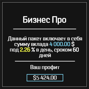 Бизнес Про