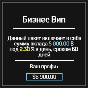 Бизнес Вип